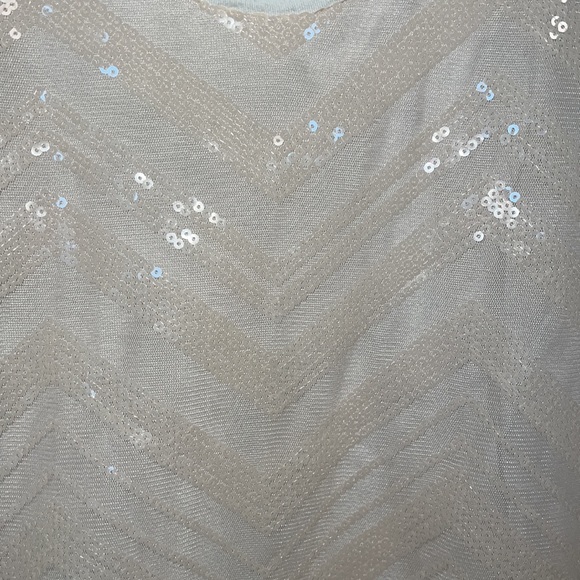 Banana Republic Heritage Sequin Sleeveless Tank, xs - Picture 3 of 8